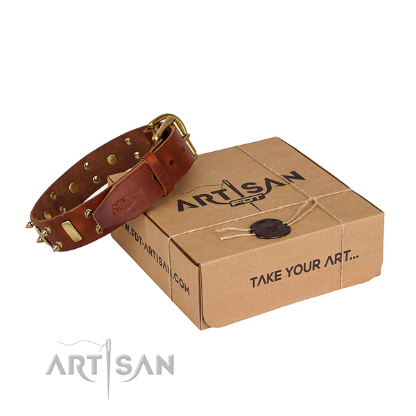 Easy wearing dog collar of durable full grain leather with decorations