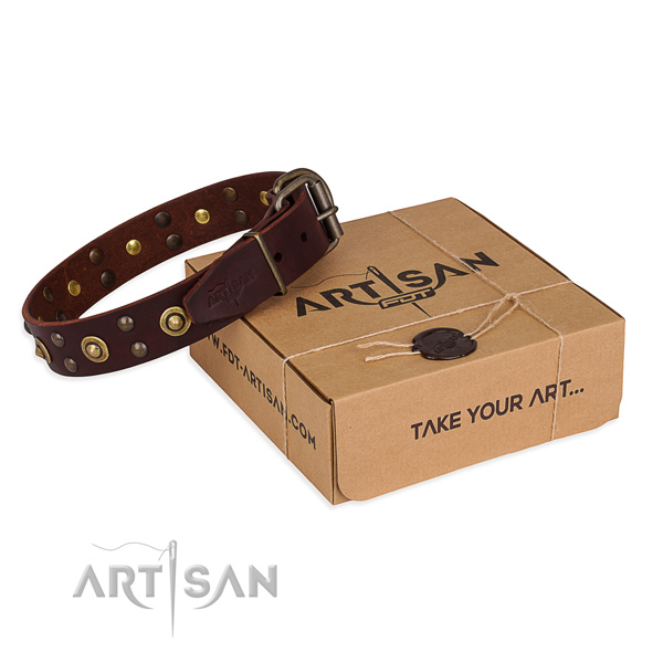 Rust resistant hardware on genuine leather collar for your beautiful pet