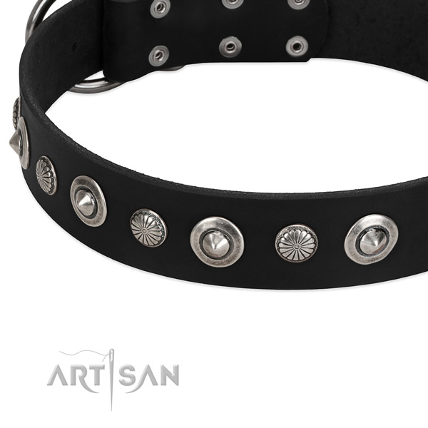 Incredible studded dog collar of strong leather