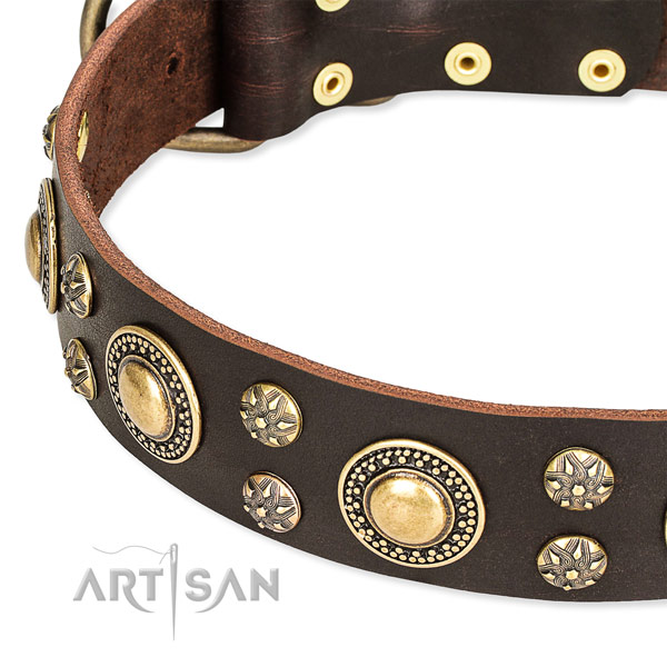 Daily use adorned dog collar of durable full grain genuine leather