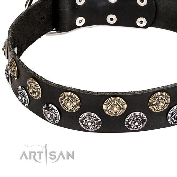 Daily walking adorned dog collar of top quality genuine leather