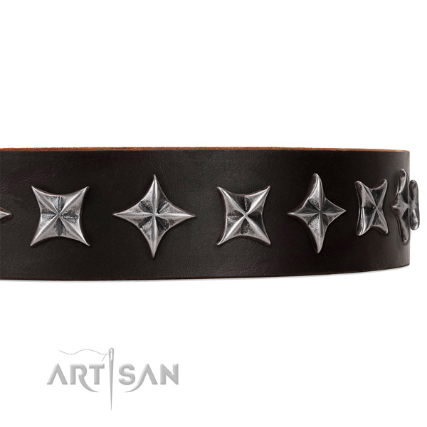 Comfy wearing adorned dog collar of best quality full grain leather