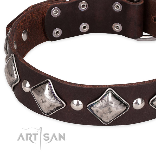 Walking decorated dog collar of top quality full grain natural leather
