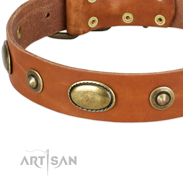 Strong decorations on leather dog collar for your doggie