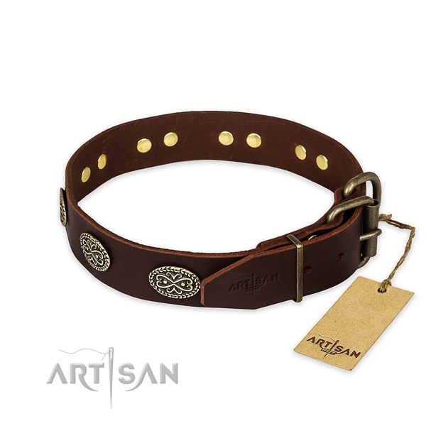 Reliable buckle on genuine leather collar for your stylish pet