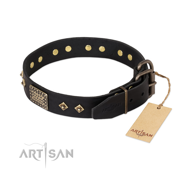 Full grain leather dog collar with corrosion resistant fittings and studs