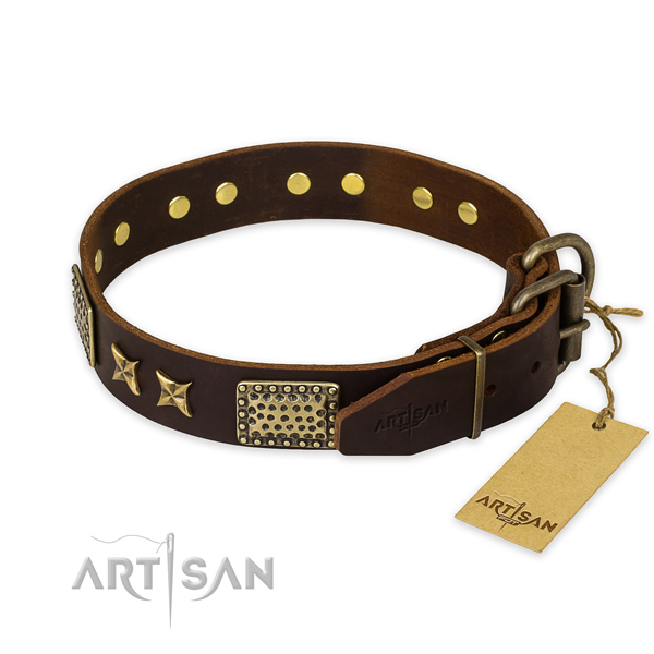 Corrosion resistant buckle on leather collar for your beautiful four-legged friend