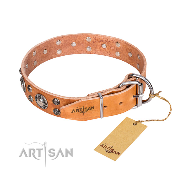 Everyday walking embellished dog collar of strong leather