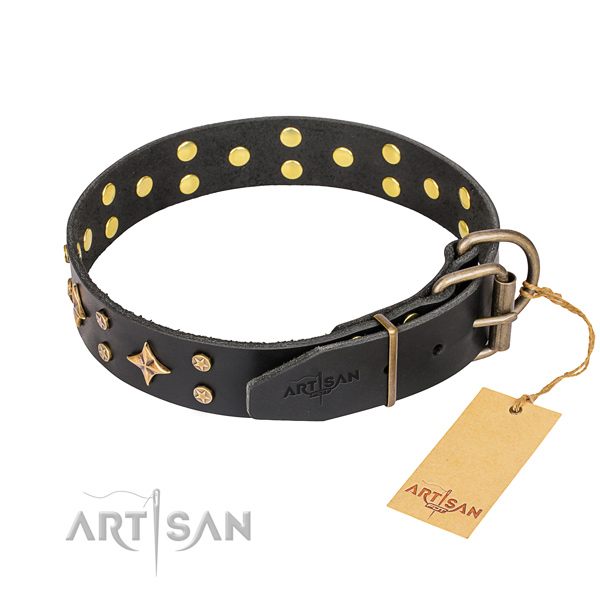 Fancy walking embellished dog collar of top quality full grain natural leather