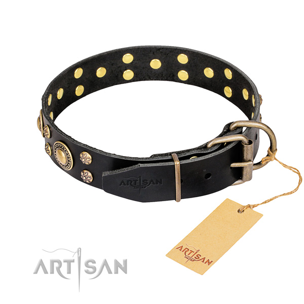 Fancy walking adorned dog collar of best quality leather