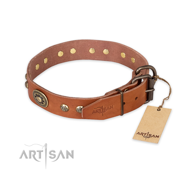 Durable fittings on full grain leather collar for everyday walking your doggie