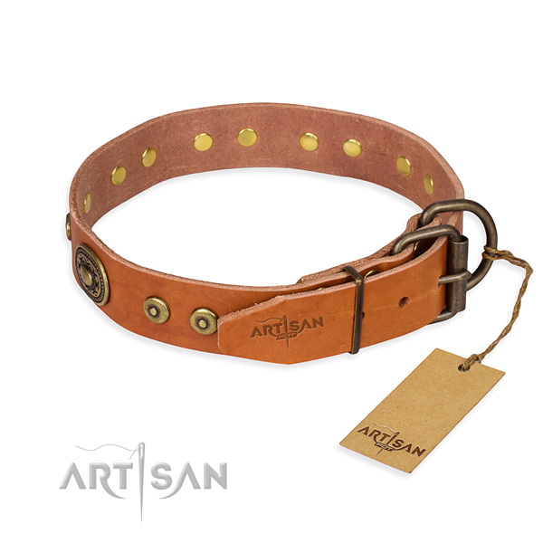 Leather dog collar made of high quality material with strong embellishments