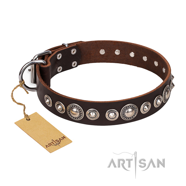 Reliable adorned dog collar of full grain leather