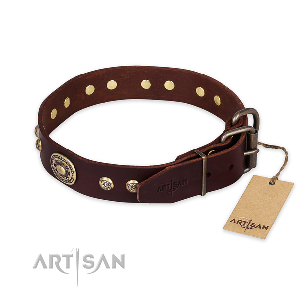 Corrosion proof traditional buckle on natural leather collar for daily walking your pet
