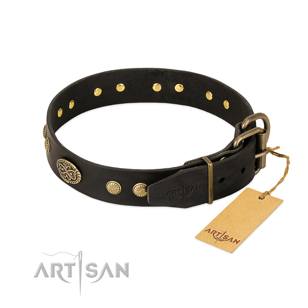 Strong decorations on genuine leather dog collar for your four-legged friend