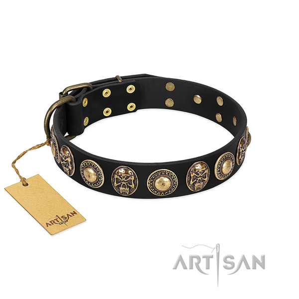 Adjustable full grain genuine leather dog collar for stylish walking your dog