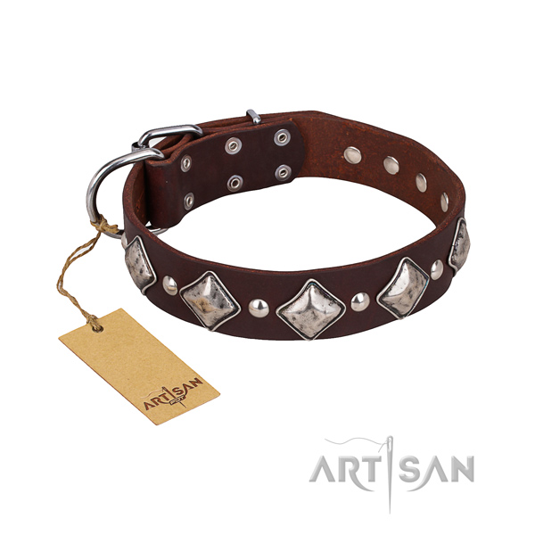 Daily use dog collar of durable natural leather with embellishments