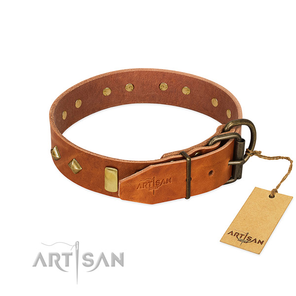 Everyday walking natural leather dog collar with stylish decorations