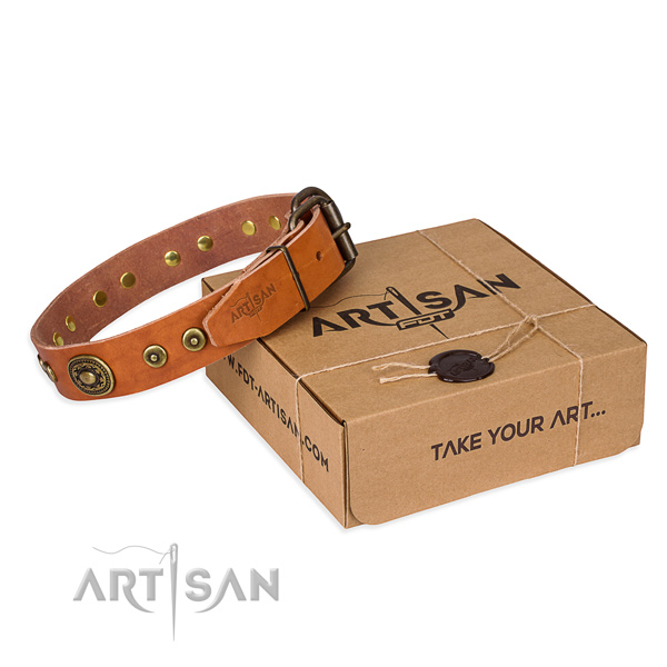 Full grain genuine leather dog collar made of high quality material with rust resistant fittings