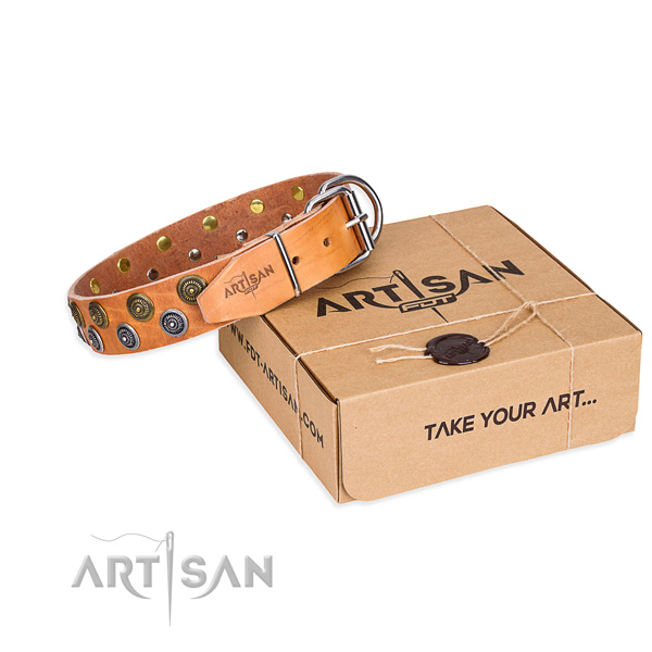 Easy wearing dog collar of durable leather with embellishments