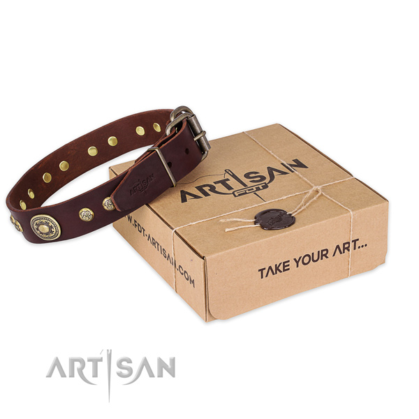 Rust-proof hardware on leather dog collar for walking