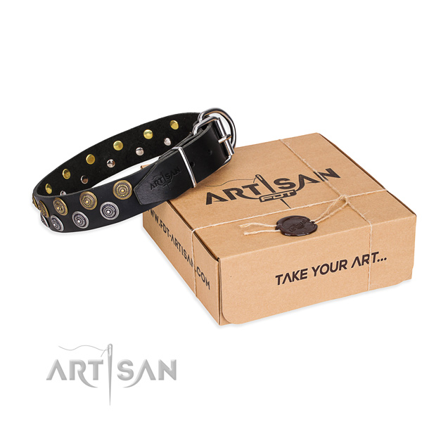 Everyday walking dog collar of durable full grain natural leather with studs
