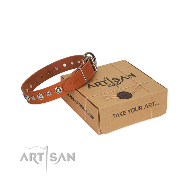 Fine quality full grain natural leather dog collar with stylish design adornments