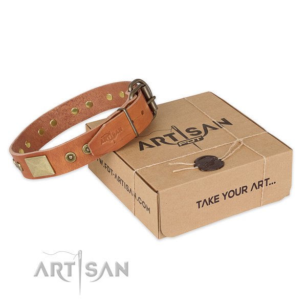 Rust-proof hardware on natural genuine leather dog collar for daily walking