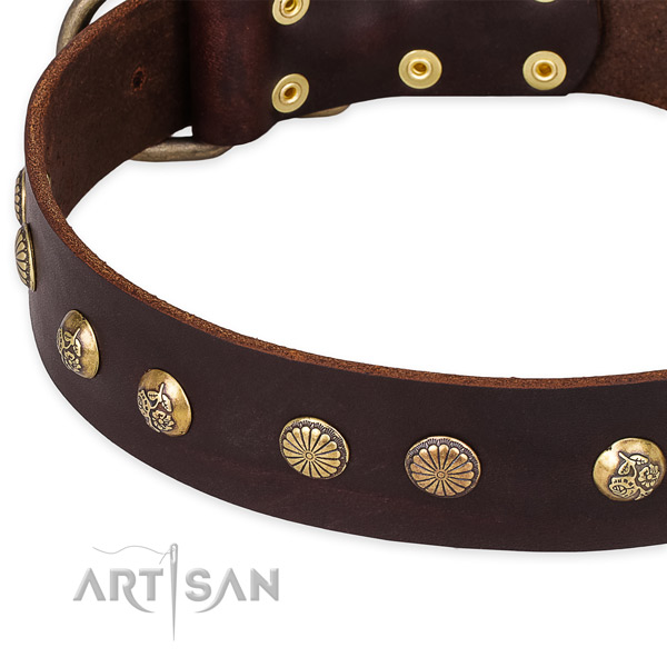 Natural genuine leather collar with corrosion resistant buckle for your beautiful four-legged friend
