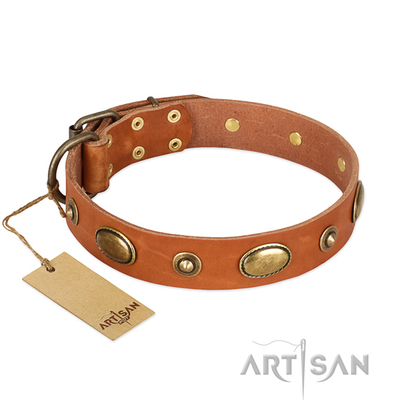 Designer full grain genuine leather collar for your pet