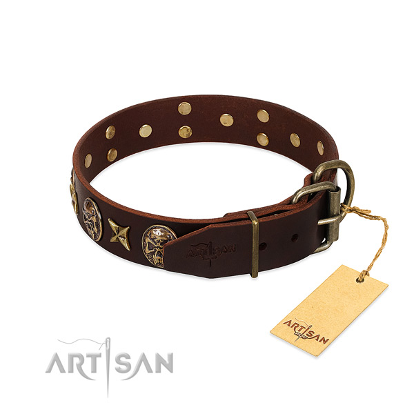 Leather dog collar with durable fittings and decorations