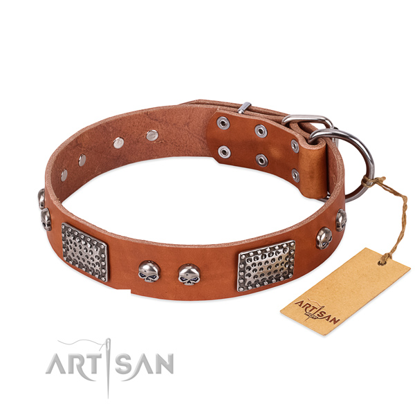 Adjustable full grain genuine leather dog collar for basic training your four-legged friend