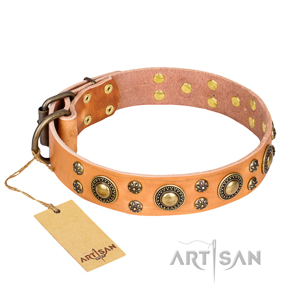 Stylish walking dog collar of finest quality leather with decorations