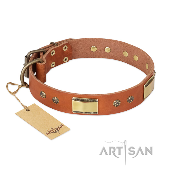 Remarkable leather collar for your pet