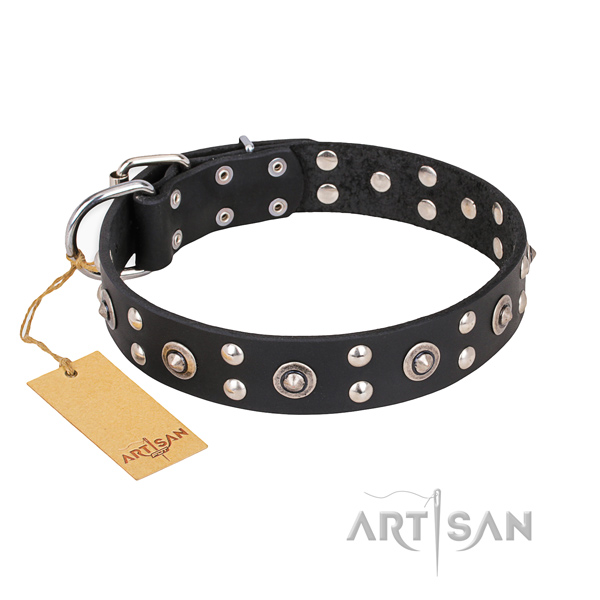 Everyday walking easy to adjust dog collar with durable D-ring