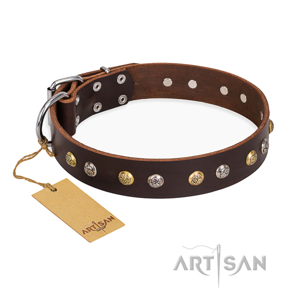 Fancy walking handmade dog collar with durable D-ring
