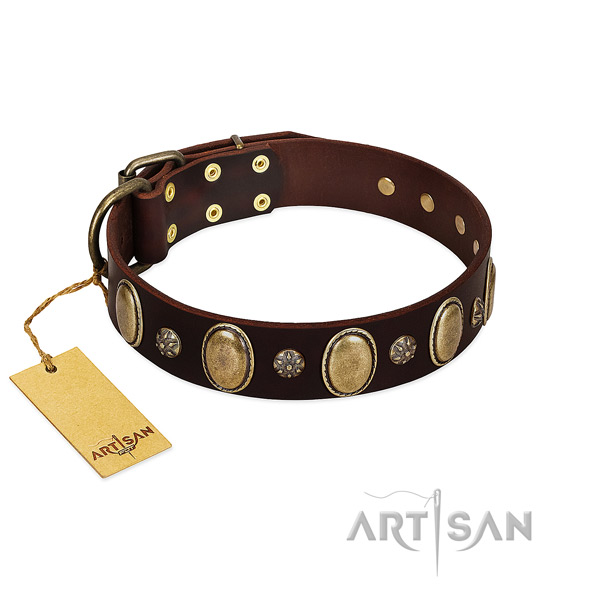 Walking best quality genuine leather dog collar with adornments