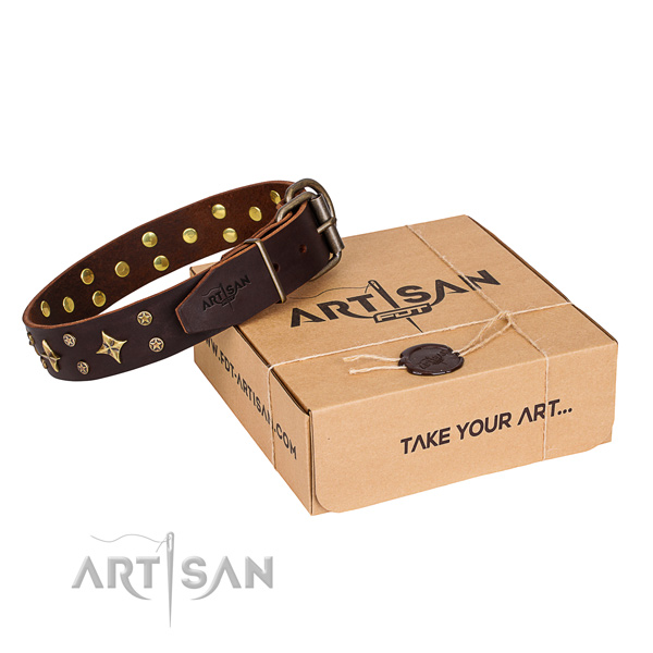 Everyday walking dog collar of quality full grain natural leather with adornments