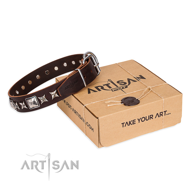 Daily use dog collar of high quality leather with adornments