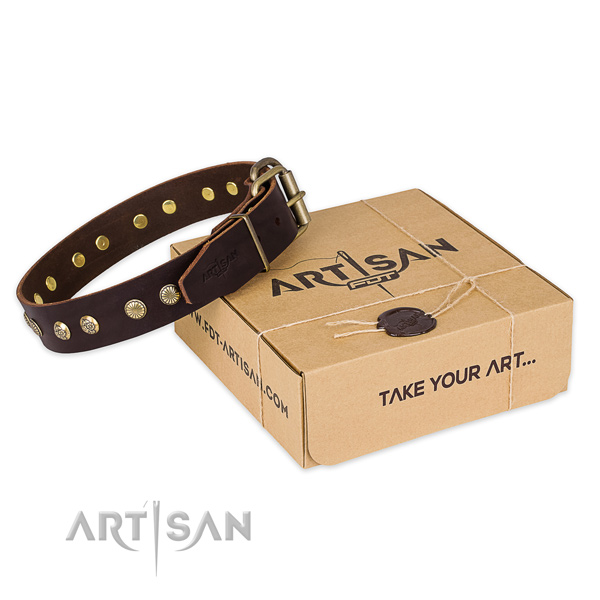 Rust-proof traditional buckle on full grain genuine leather collar for your stylish dog