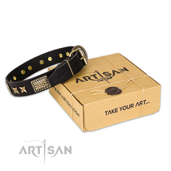 Durable hardware on natural genuine leather collar for your handsome pet