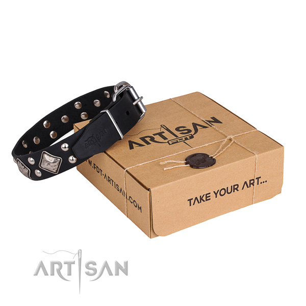 Stylish walking dog collar with Top notch rust-proof adornments