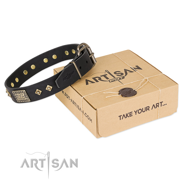Impressive genuine leather collar for your handsome four-legged friend