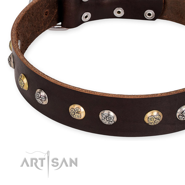 Full grain genuine leather dog collar with remarkable corrosion resistant studs