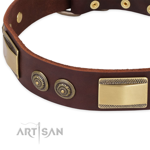 Convenient leather collar for your lovely four-legged friend