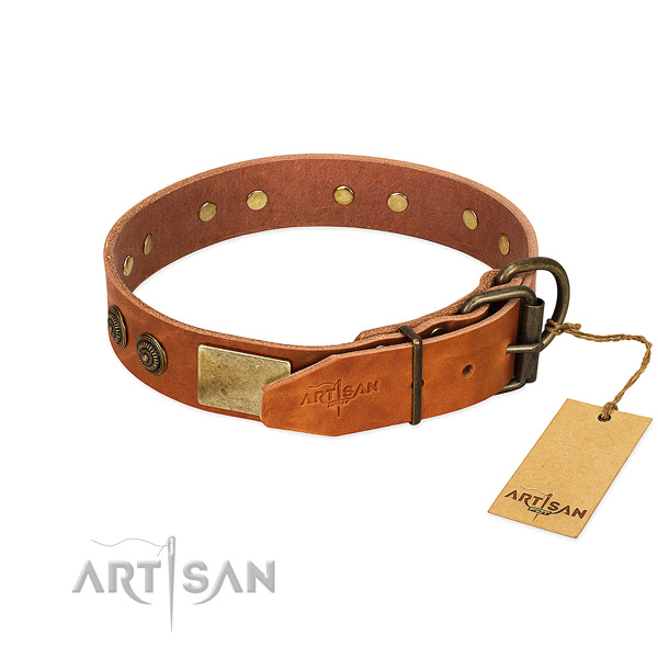 Rust-proof fittings on leather collar for everyday walking your pet