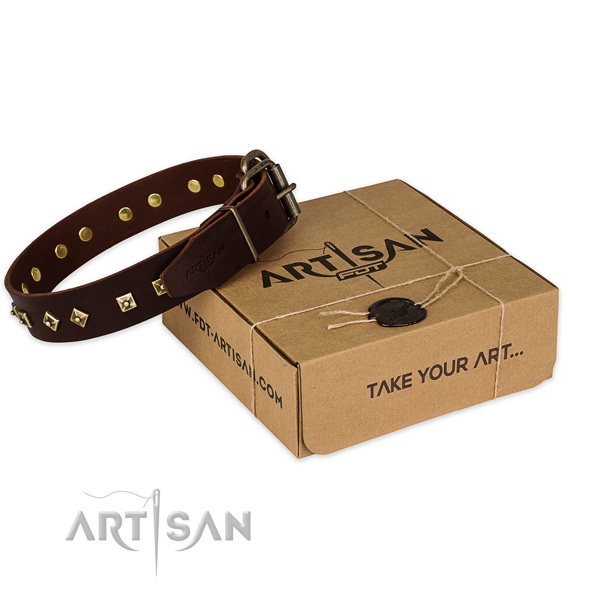 Durable fittings on full grain natural leather dog collar for walking