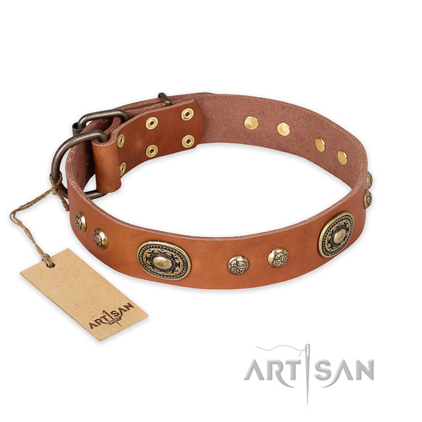 Exceptional leather dog collar for fancy walking