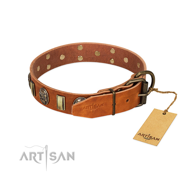 Corrosion proof fittings on full grain leather collar for basic training your dog