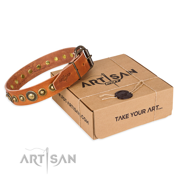Soft to touch full grain leather dog collar made for everyday use